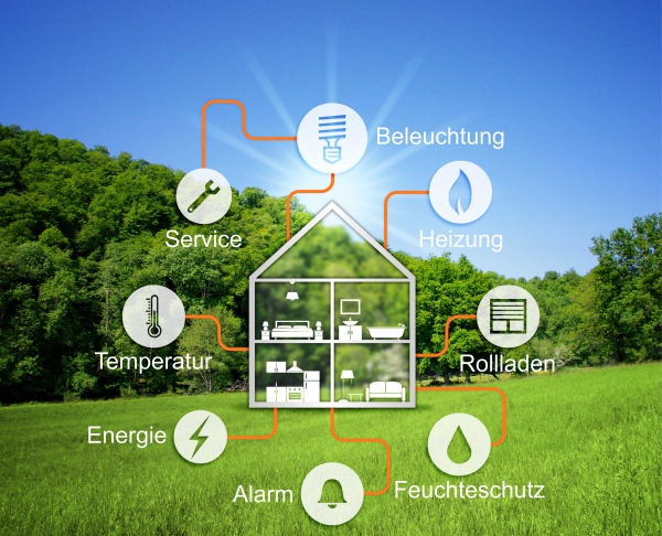 Jak postawić na zieloną przyszłość?
